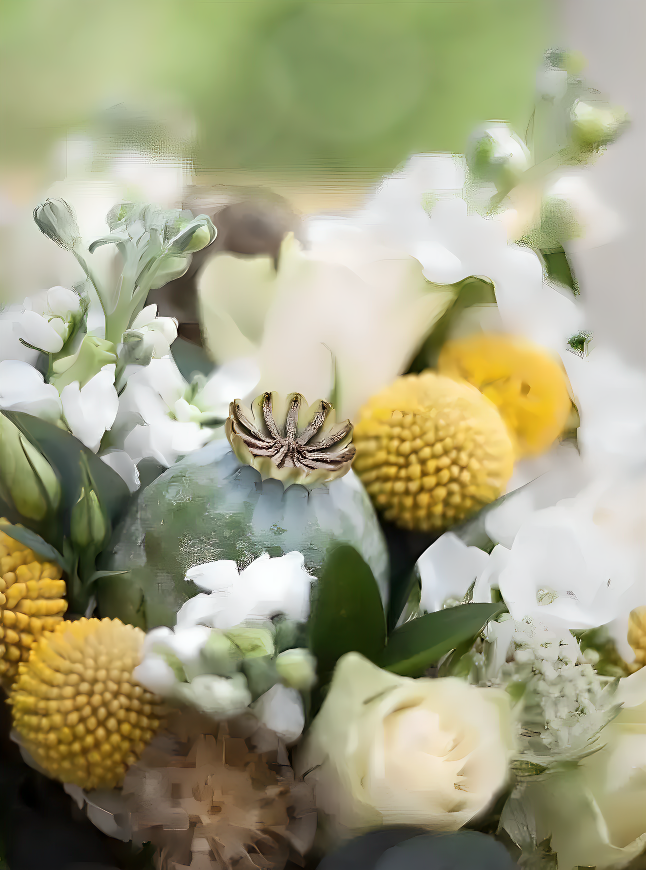 Haushalt und Alltagsbegleitung - Katrin Scholz - Blumenbild